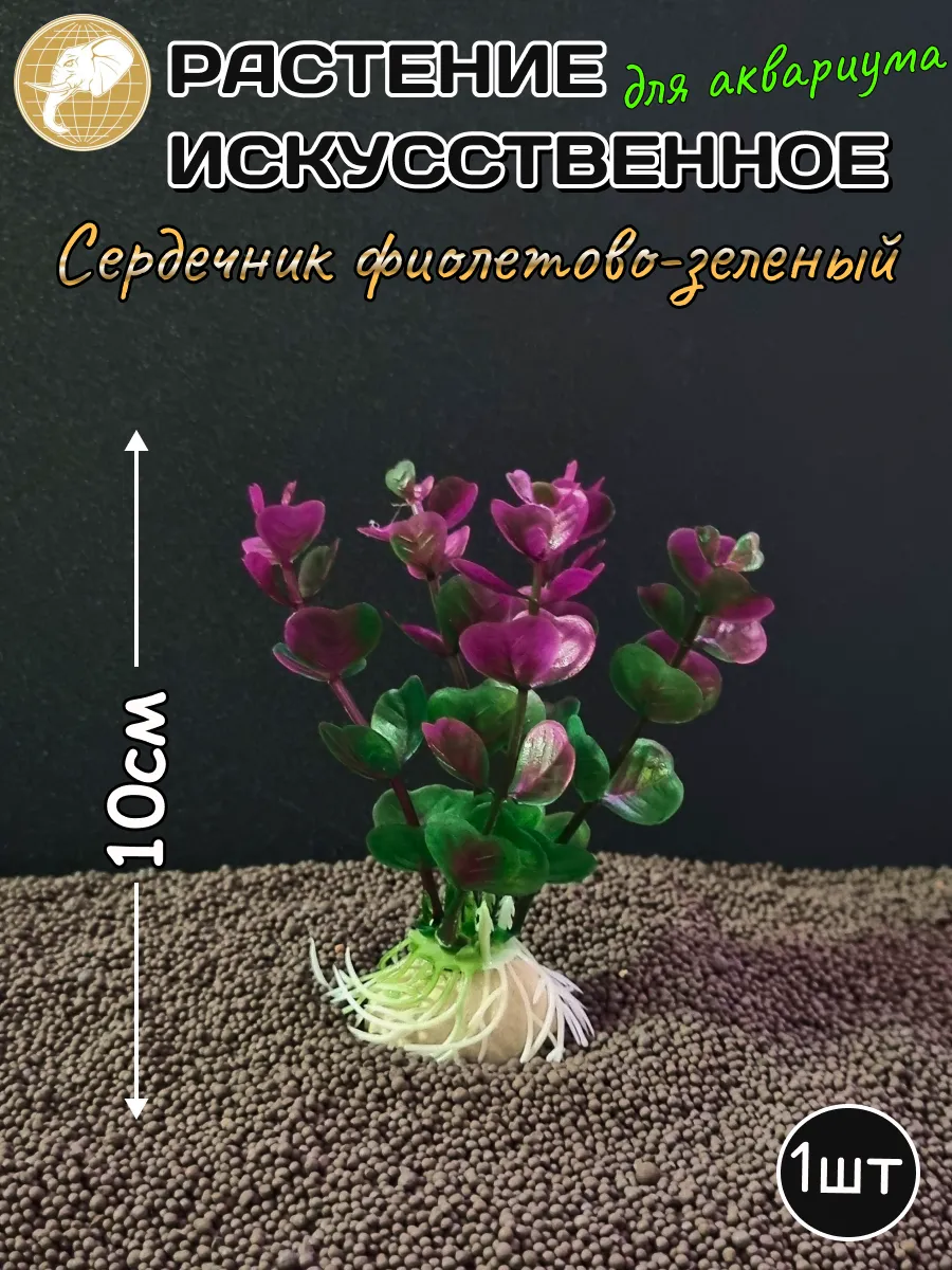 Растение искусственное Сердечник фиолетово-зеленый 10см